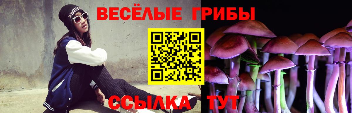 Калуга  Галлюциногенные грибы ЛСД  Вход с VPN 